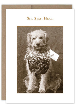 “Sit. Stay. Heal.” Shannon Martin get well card