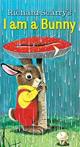 I Am a Bunny children’s board book