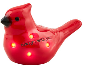 Cardinal light up sitter