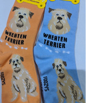 Women’s Wheaten Terrier socks