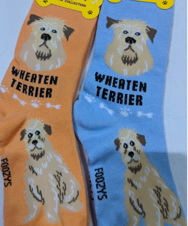 Women’s Wheaten Terrier socks - Jilly's Socks 'n Such