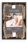 Giving Sock Set by Demdaco- 4 colors - Jilly's Socks 'n Such