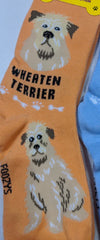 Women’s Wheaten Terrier socks - Jilly's Socks 'n Such