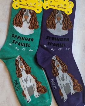 Women’s Springer Spaniel socks