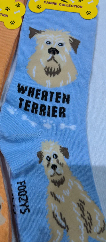 Women’s Wheaten Terrier socks - Jilly's Socks 'n Such