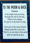 Love You to the Moon and Back Pocket Token - Jilly's Socks 'n Such
