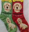 Women’s Labradoodle Socks - Jilly's Socks 'n Such