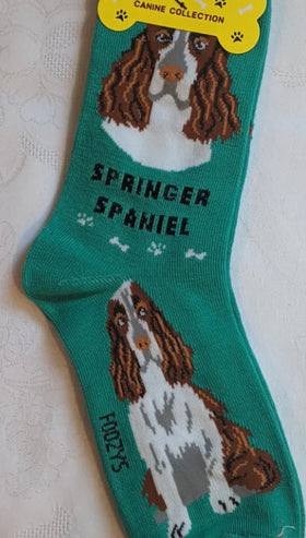 Women’s Springer Spaniel socks