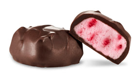 Raspberry Sorbet - Dark Chocolate 4 oz