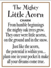 The Mighty Little Acorn Pocket Charm - Jilly's Socks 'n Such