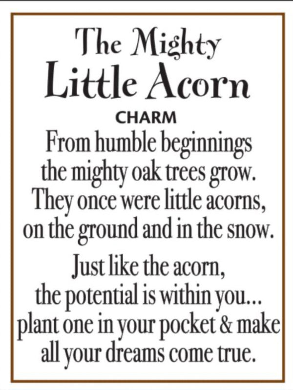 The Mighty Little Acorn Pocket Charm - Jilly's Socks 'n Such