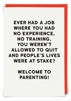 “Ever had a job where you had no experience….welcome to parenting” Holy Flap cards