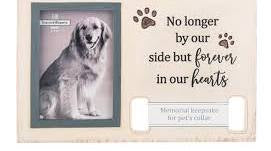 Memorial Pet Collar Keepsake Frame - Jilly's Socks 'n Such