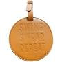 Golf Tee Bag Tag / “Swing, Swear, Repeat” (tan)