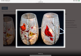 LED Frosted Cardinal Light