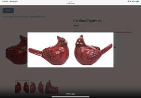 Cardinal Figures - 2 sizes