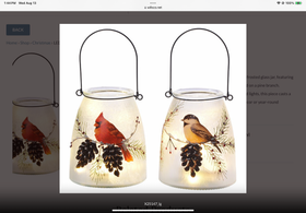 LED Glass Bird Jar - 2 designs