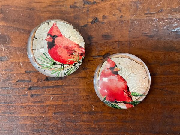 Cardinal Magnets - Jilly's Socks 'n Such