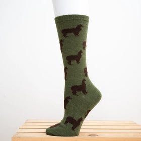 Women’s  Alpaca Socks - Pack herd