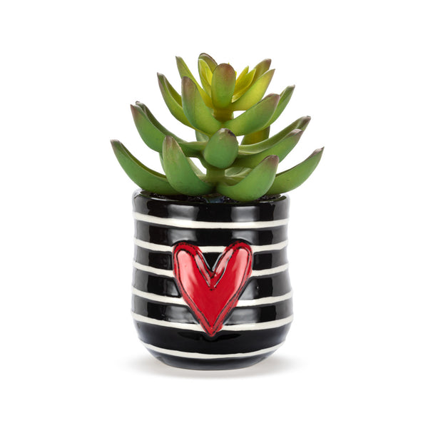 Mini Succulent with stripes by Demdaco - Jilly's Socks 'n Such