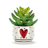 Mini Succulent by Demdaco