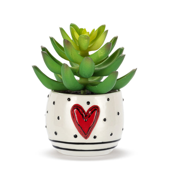 Mini Succulent by Demdaco