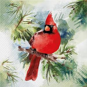 Winter Cardinal Napkins by Abbott