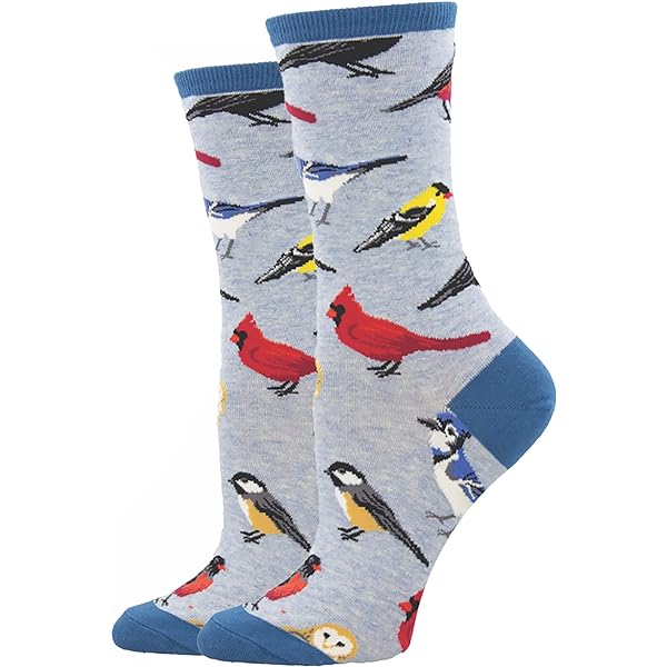 Women's Assorted Bird Socks - Jilly's Socks 'n Such