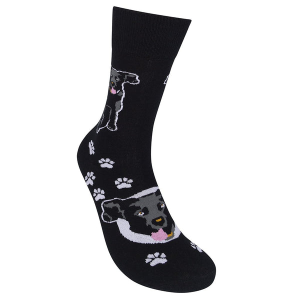 Black Lab Breed Socks - One Size - Jilly's Socks 'n Such