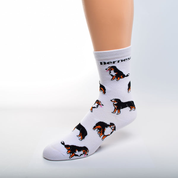 Bernese Dog Socks - Jilly's Socks 'n Such