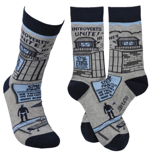 “Introverts Unite” Socks - One Size - Jilly's Socks 'n Such