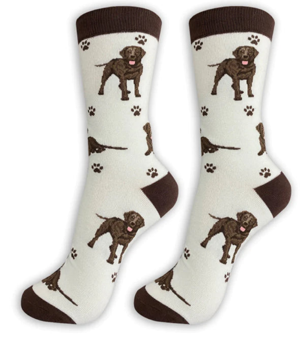 Happy Tails Chocolate Labrador Socks - Jilly's Socks 'n Such