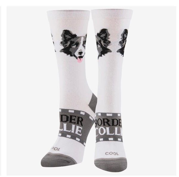 Women’s Border Collie Socks - White - Jilly's Socks 'n Such