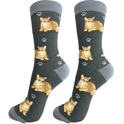 Happy Tails Orange Tabby Socks - Jilly's Socks 'n Such