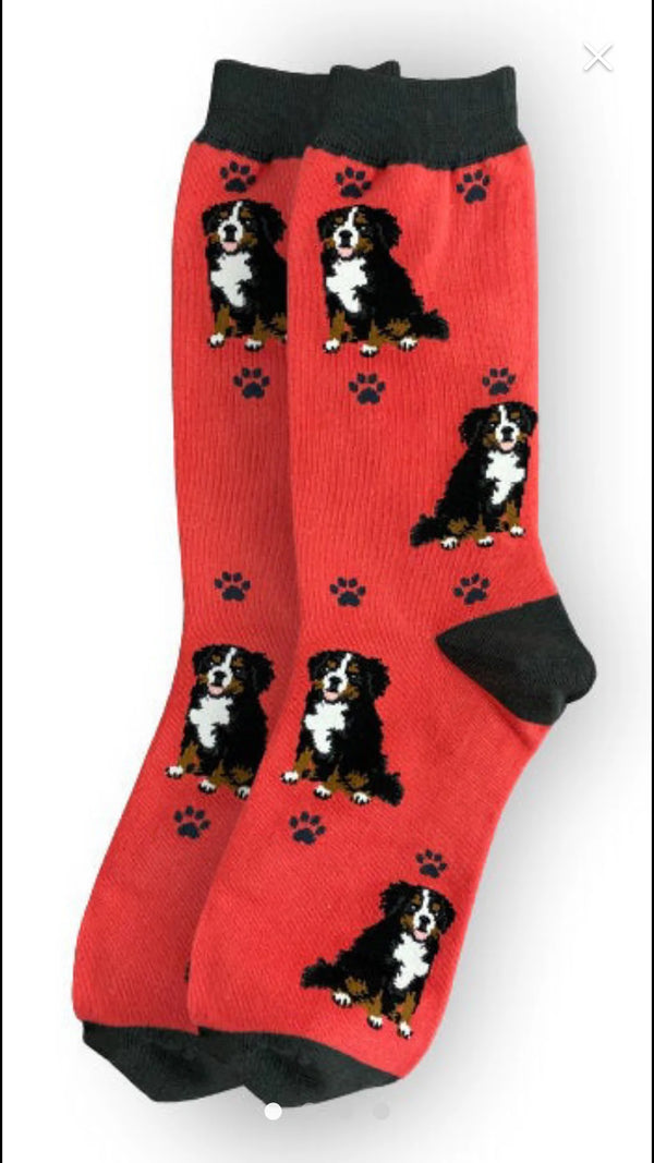 Happy Tails Bernese Mountain Dog Socks - Jilly's Socks 'n Such