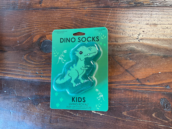 3D Dino Socks w/ Grippers - Jilly's Socks 'n Such